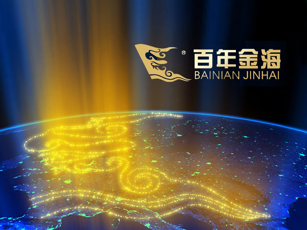 百年金海 智慧城市